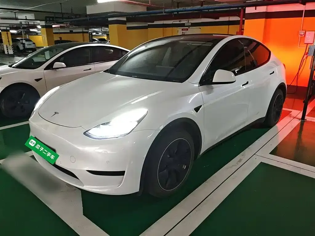 Tesla Model Y — фото 1