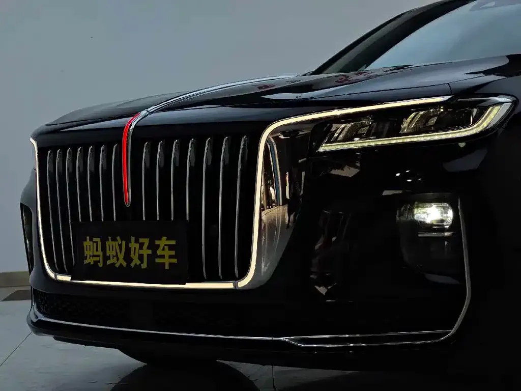 Hongqi H9 — фото 8