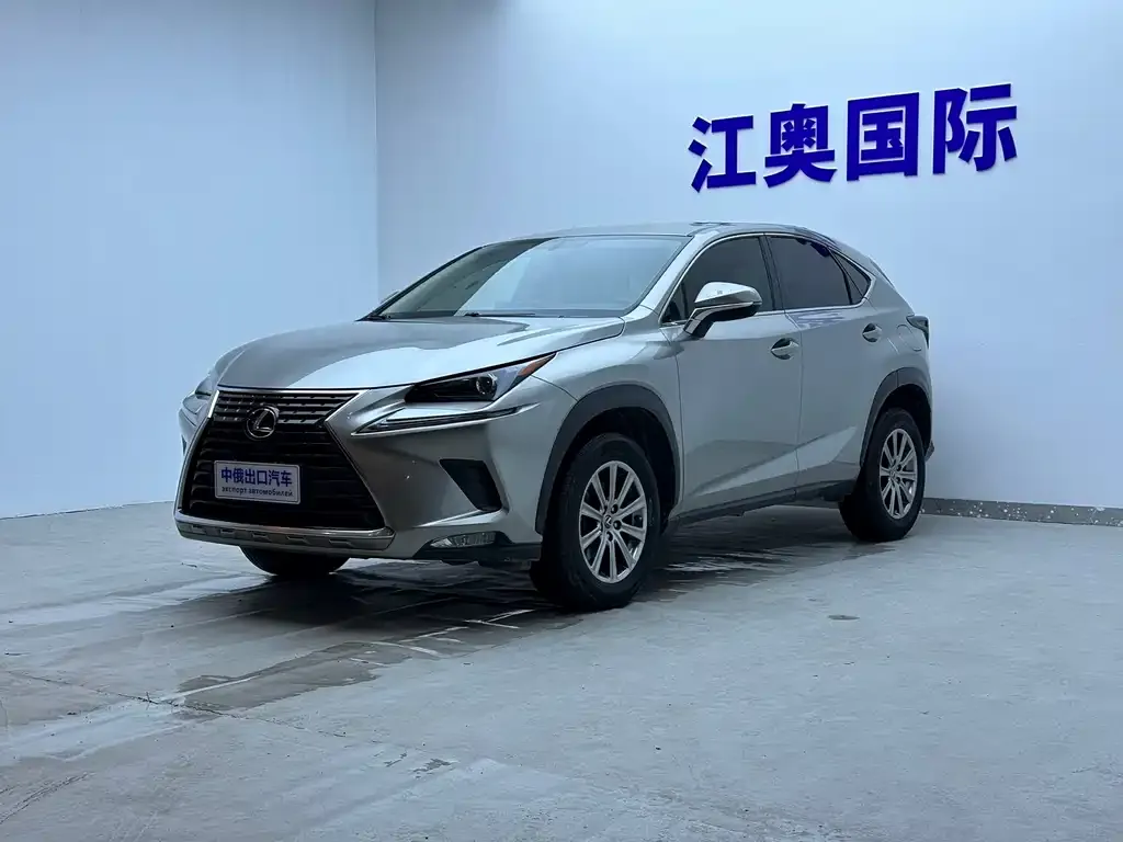 Lexus NX 2021 из CN, фото 1