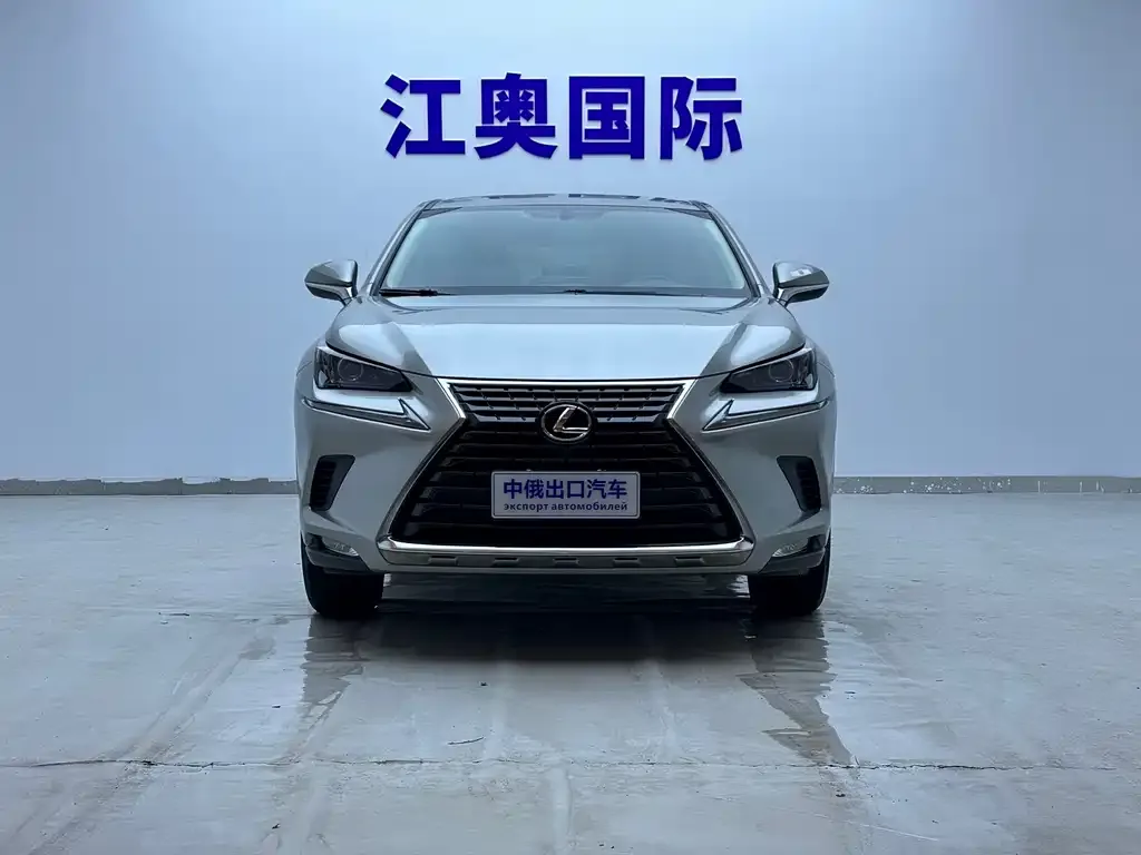 Lexus NX 2021 из CN, фото 6