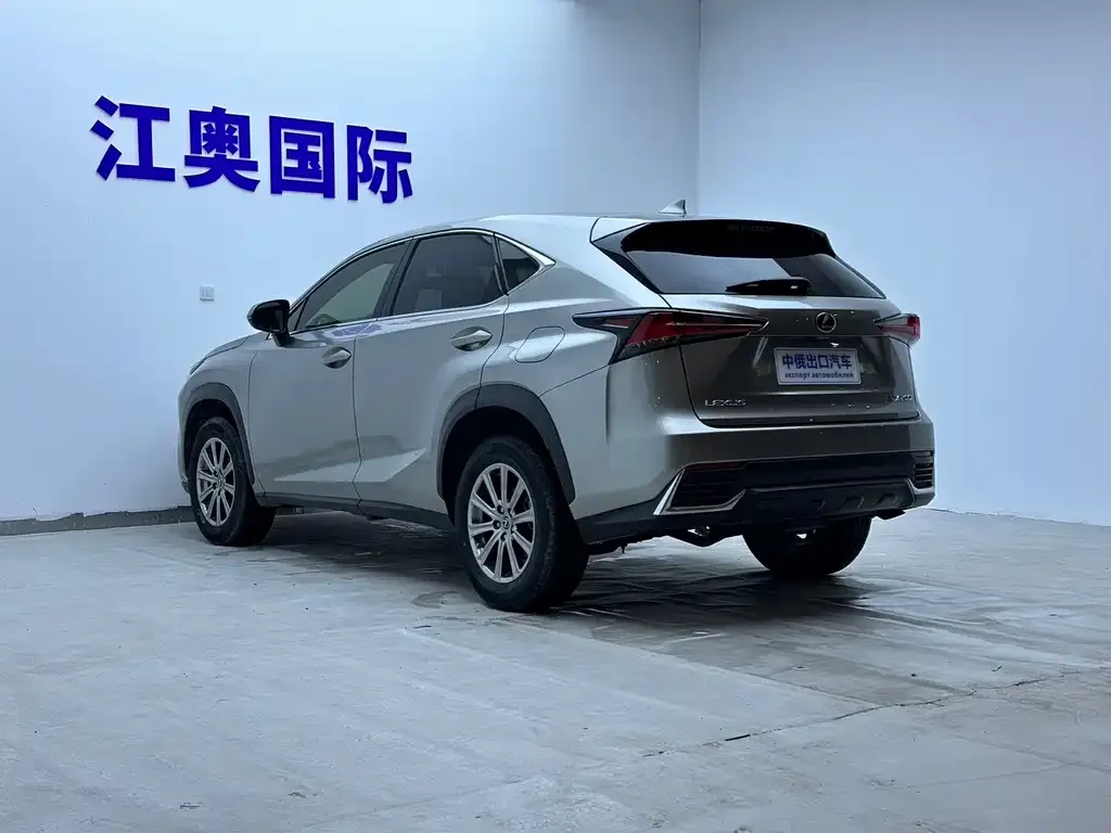 Lexus NX 2021 из CN, фото 4