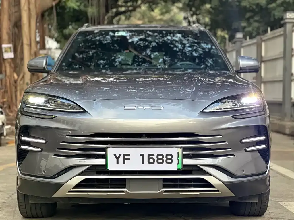 BYD PLUS New Energy 2023 из CN, фото 4