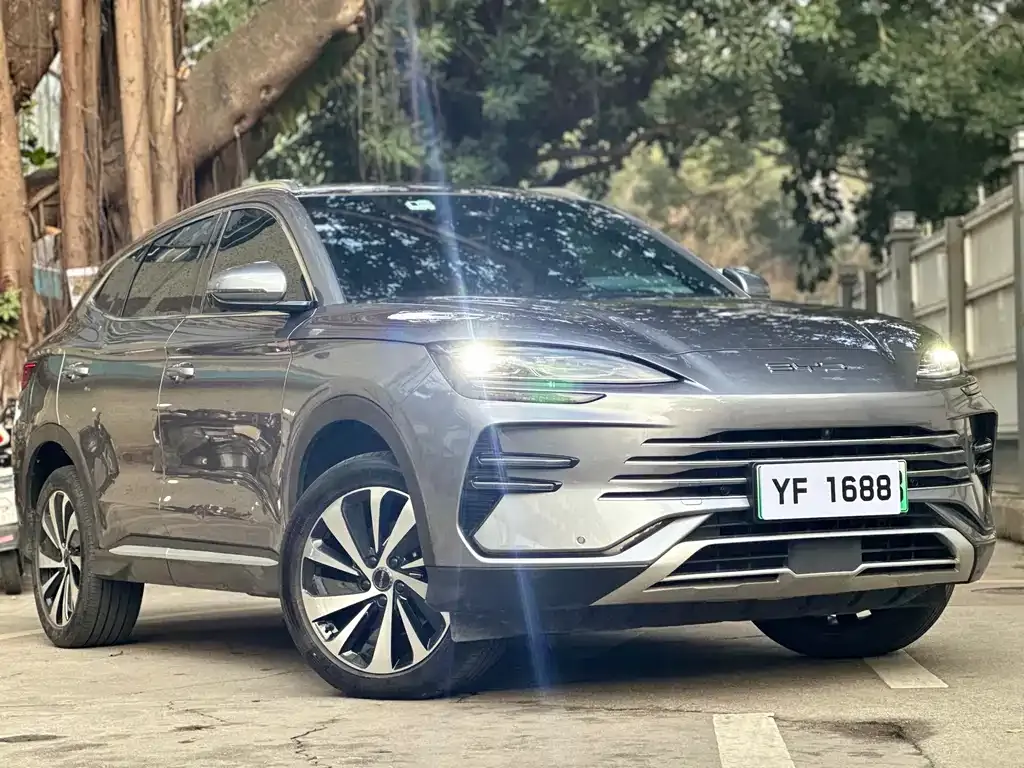BYD PLUS New Energy 2023 из CN, фото 8