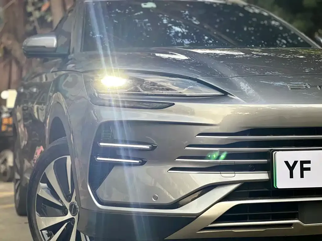 BYD PLUS New Energy 2023 из CN, фото 2