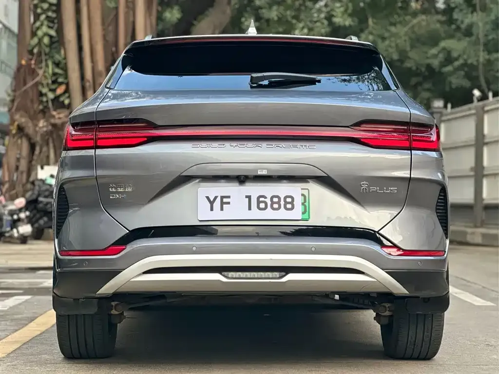 BYD PLUS New Energy 2023 из CN, фото 6