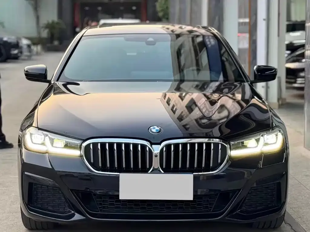 BMW 5 Series 2023 из CN, фото 3