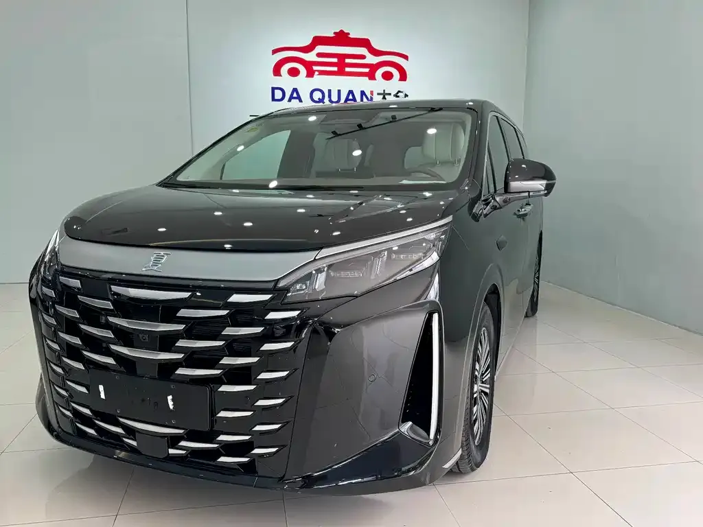 BYD Xia 2025 из CN, фото 1