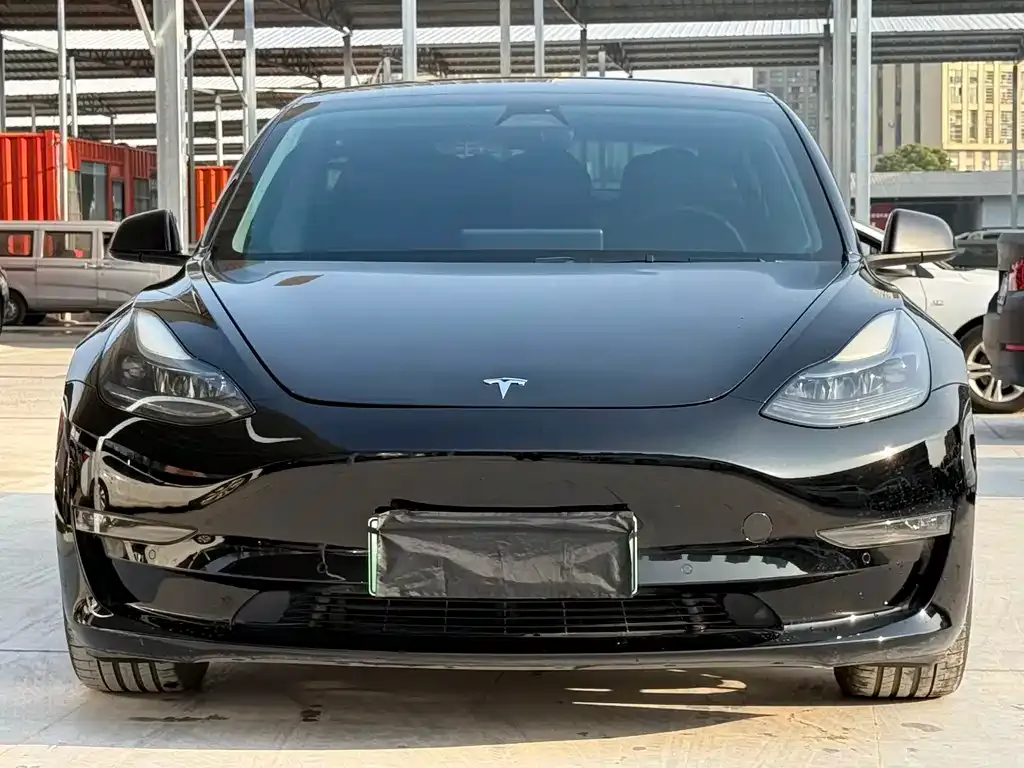 Tesla Model 3 2021 из CN, фото 4
