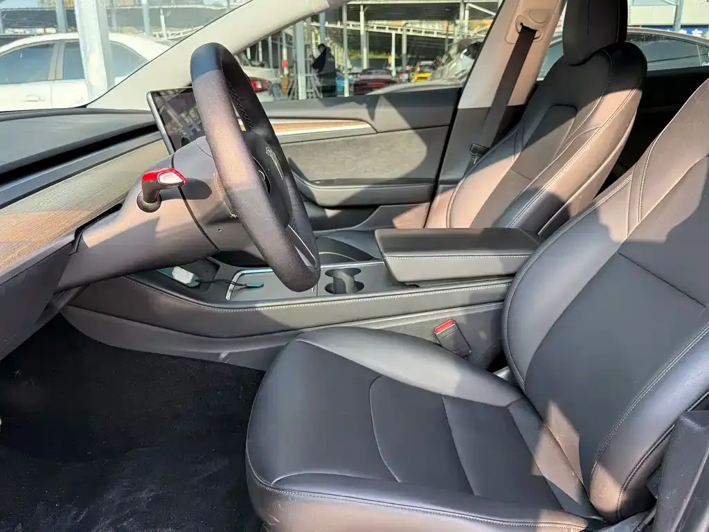 Tesla Model 3 2021 из CN, фото 8