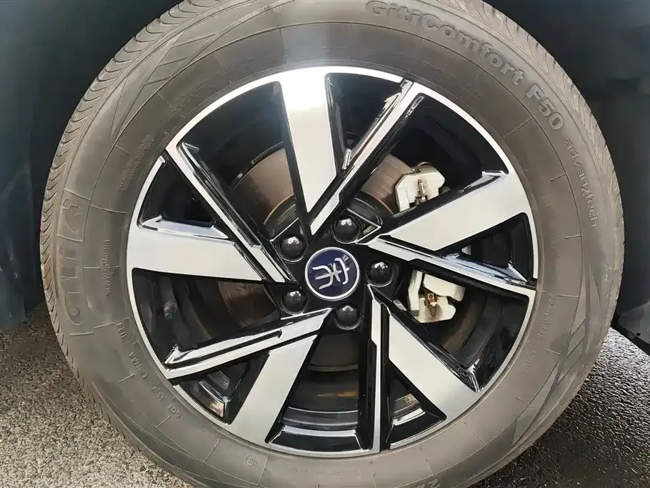 BYD Pro New Energy — фото 7