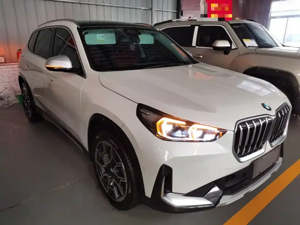 BMW X1 2024 из CN, фото 8