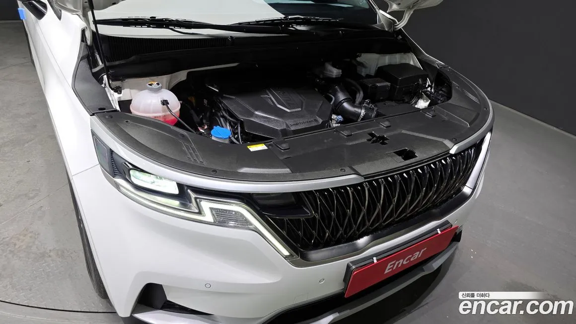 Kia Carnival — фото 10