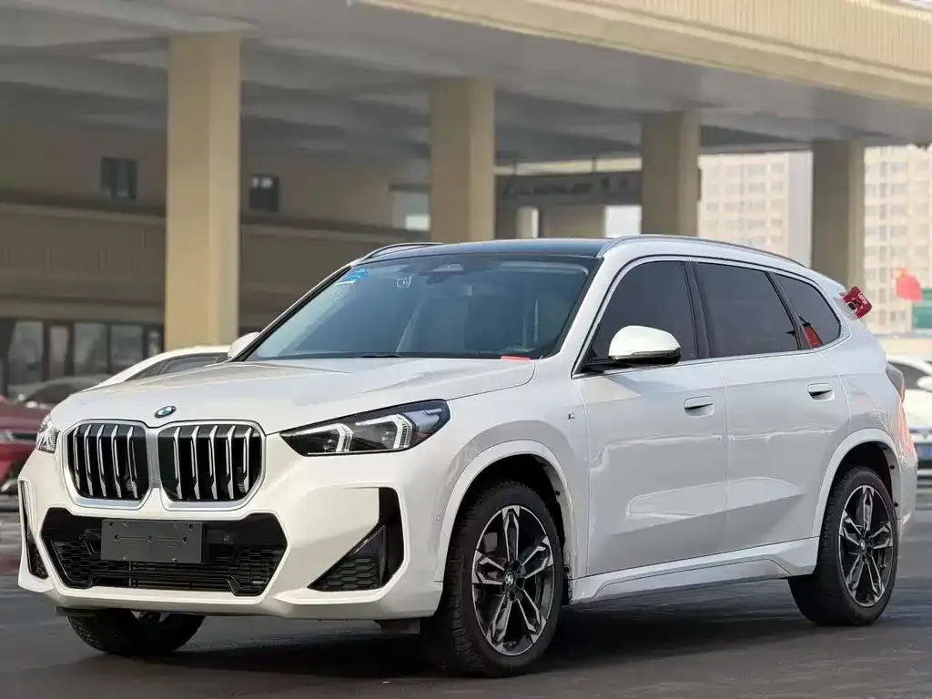 BMW X1 2023 из CN, фото 6