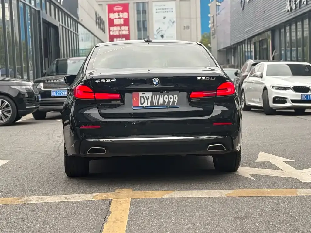 BMW 5 Series 2022 из CN, фото 9