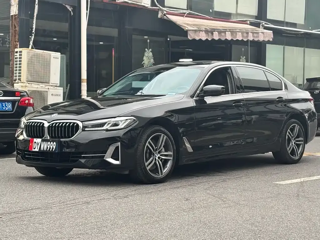 BMW 5 Series 2022 из CN, фото 10