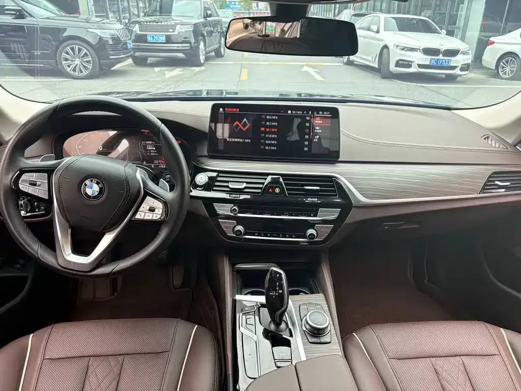 BMW 5 Series 2022 из CN, фото 6