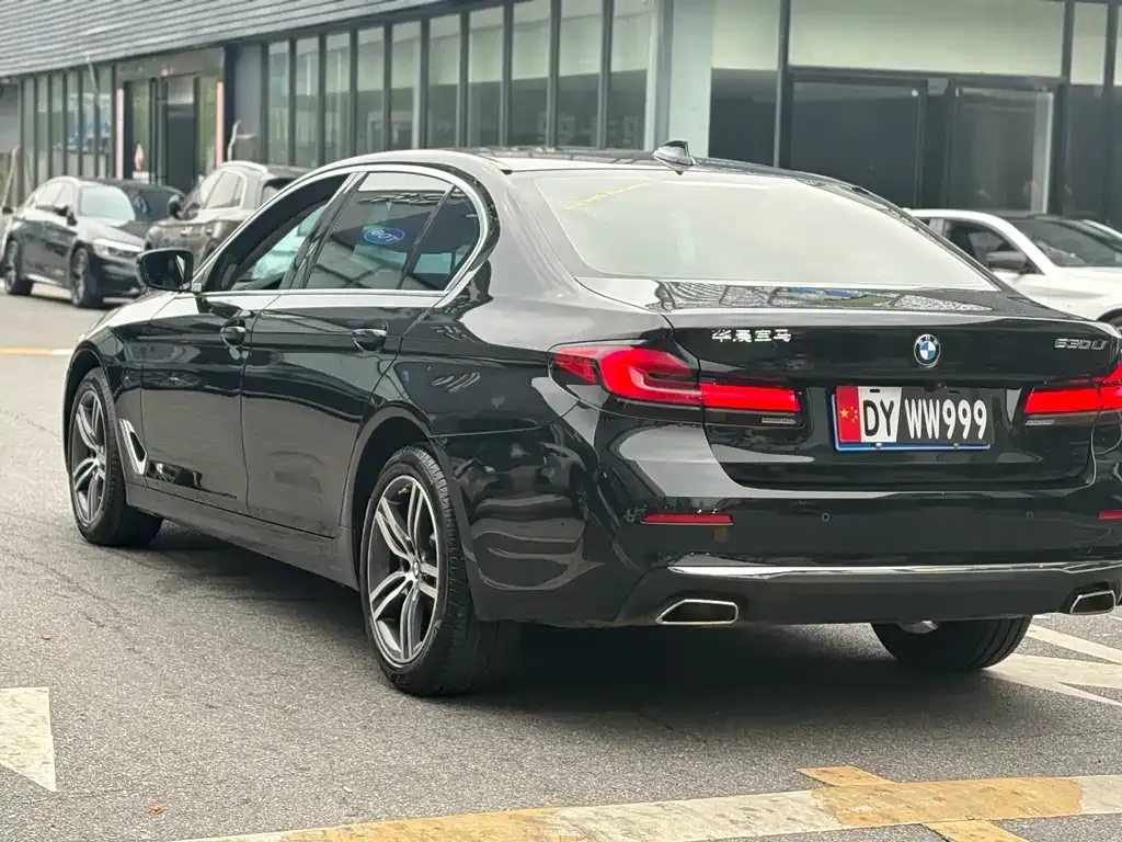 BMW 5 Series 2022 из CN, фото 7