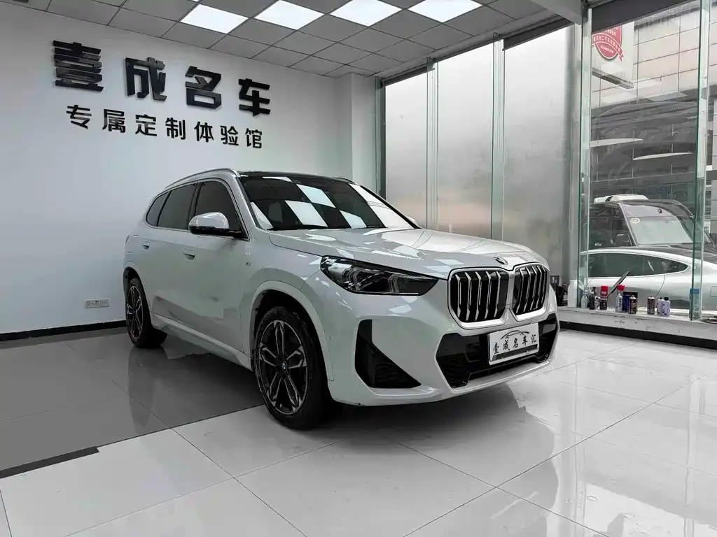 BMW X1 — фото 1