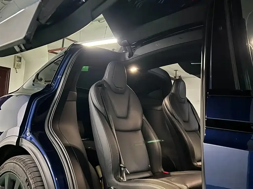 Tesla Model X — фото 5