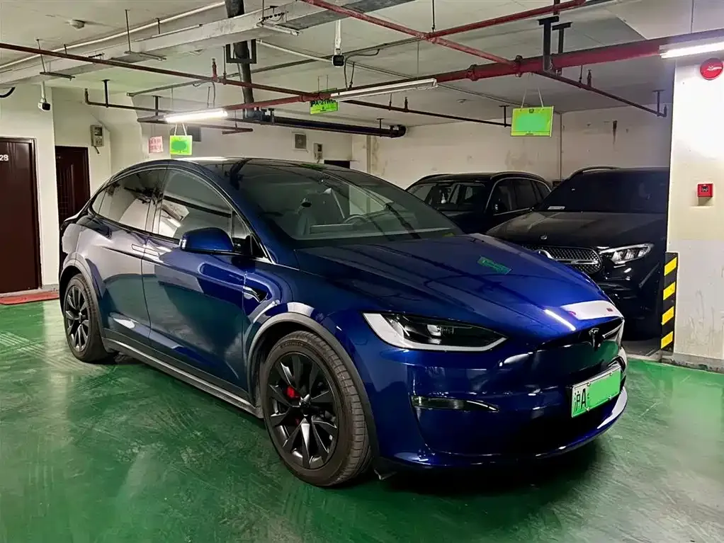 Tesla Model X — фото 10