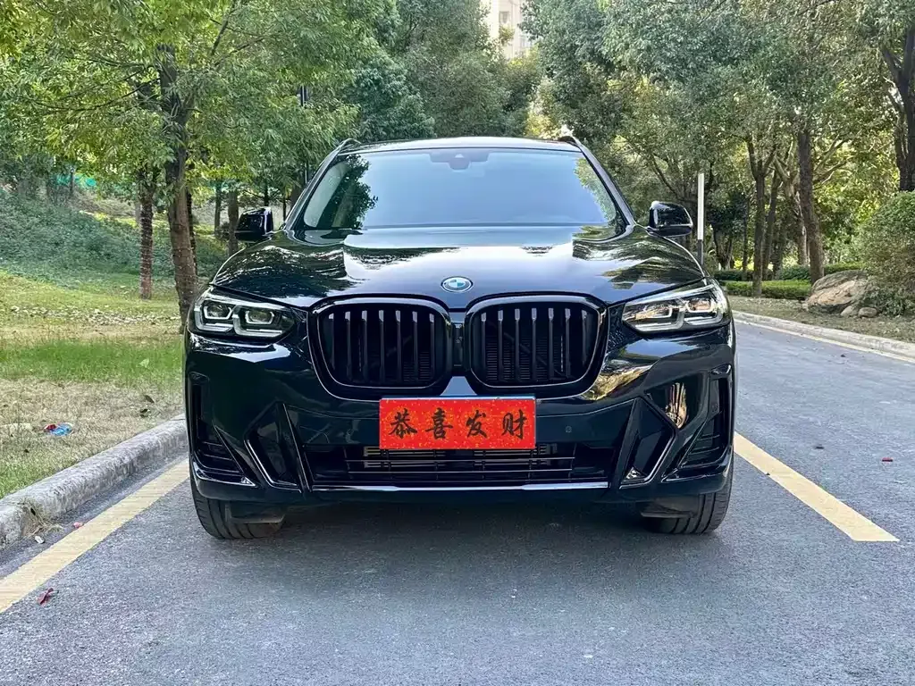 BMW X3 2022 из CN, фото 8