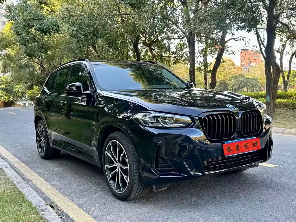 BMW X3 2022 из CN, фото 7