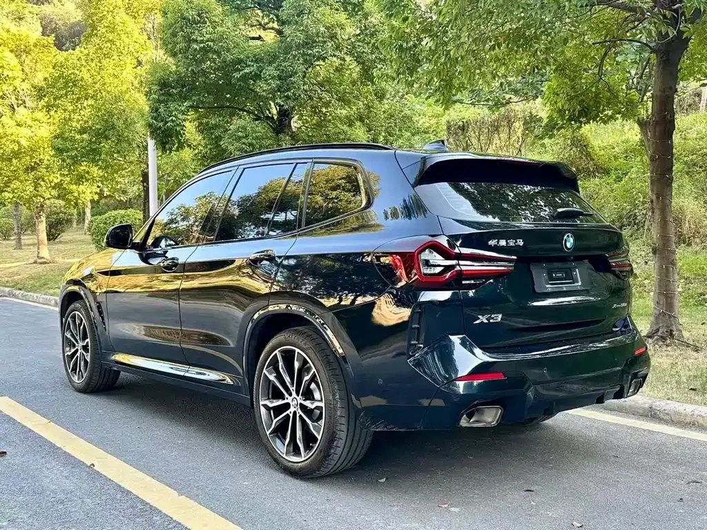 BMW X3 2022 из CN, фото 9