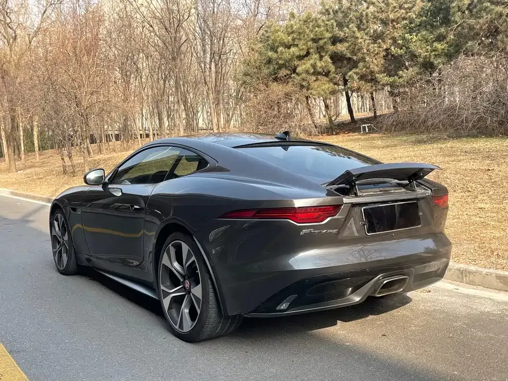 Jaguar F-TYPE — фото 6