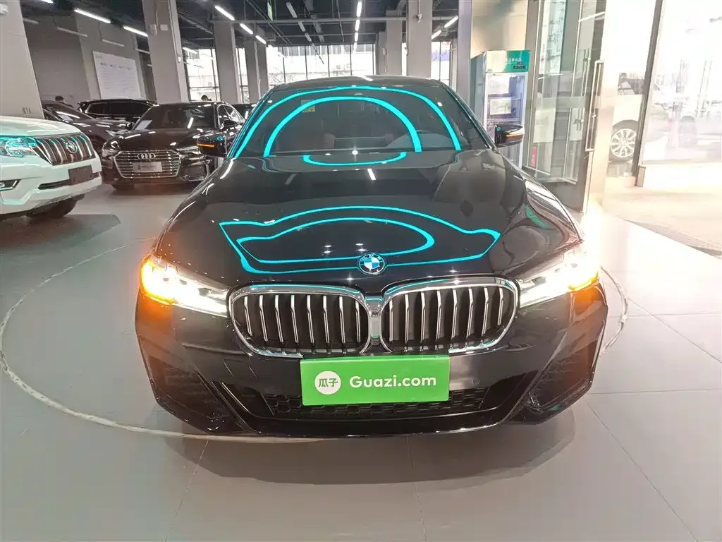 BMW 5 Series 2022 из CN, фото 6
