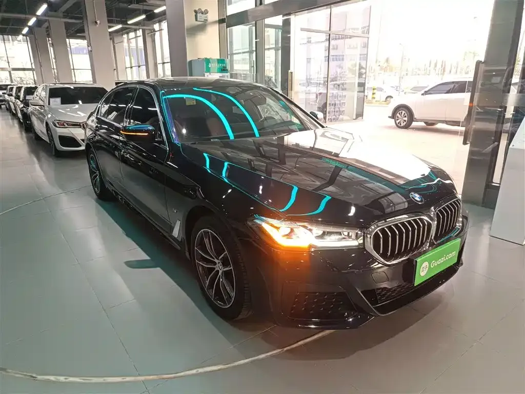 BMW 5 Series 2022 из CN, фото 5