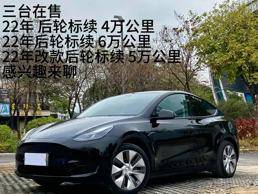 Tesla Model Y — фото 1