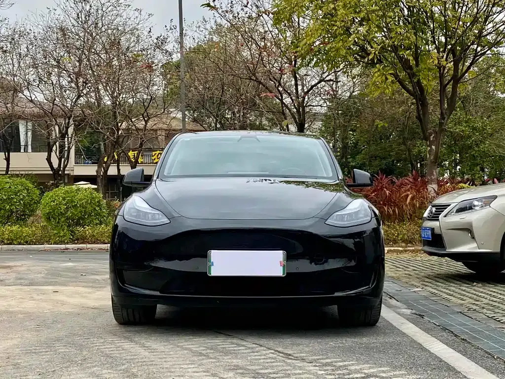 Tesla Model Y — фото 7