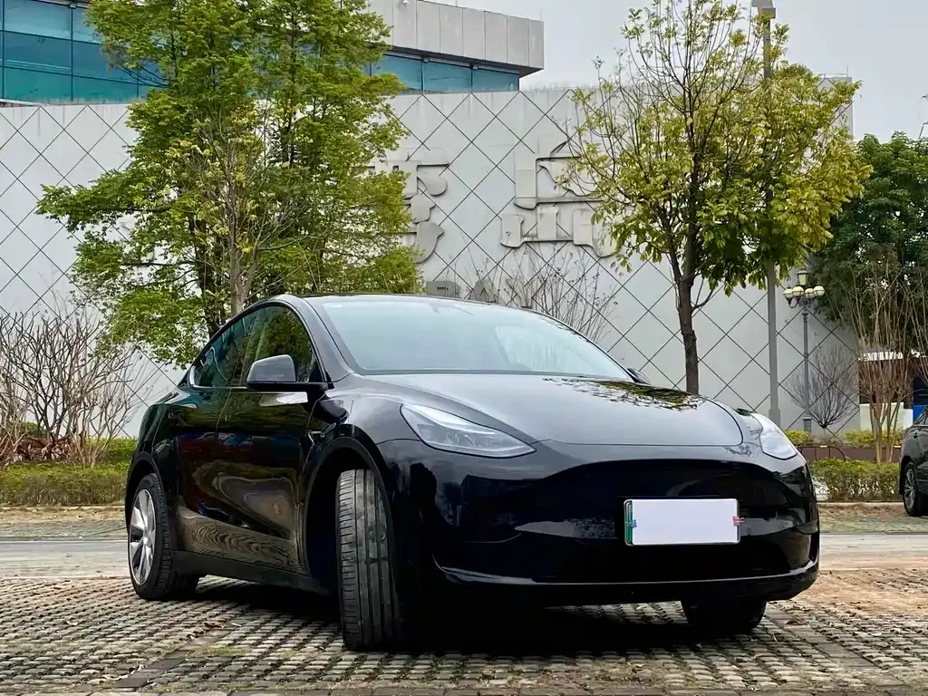 Tesla Model Y — фото 5