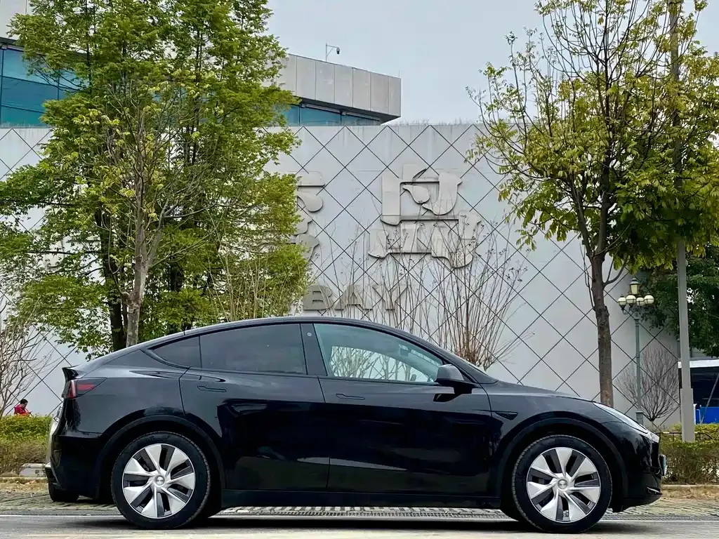 Tesla Model Y — фото 9