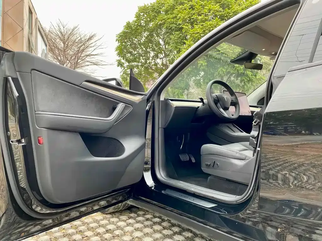 Tesla Model Y — фото 10