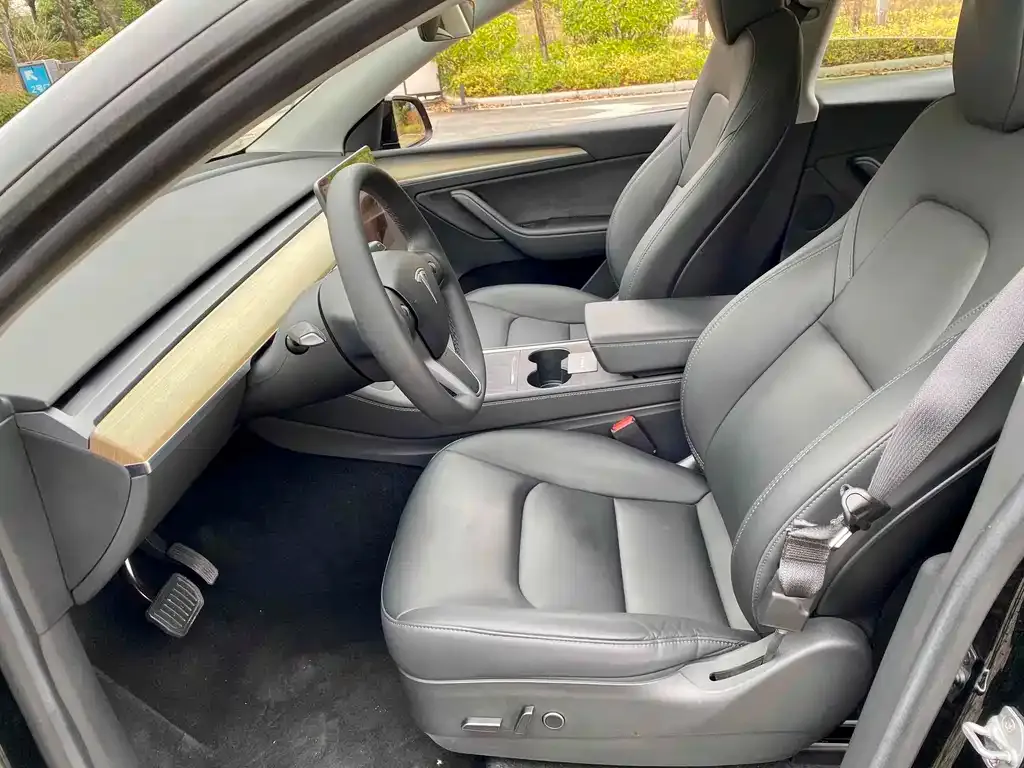 Tesla Model Y — фото 2