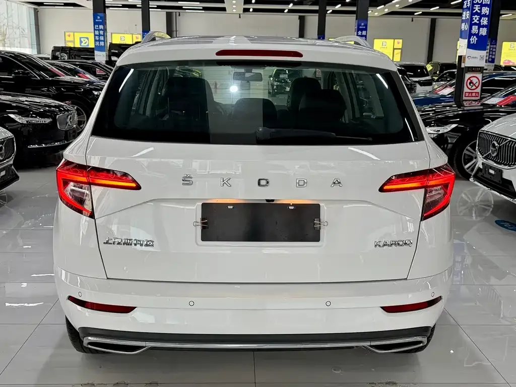 Skoda Karoq 2022 из CN, фото 4