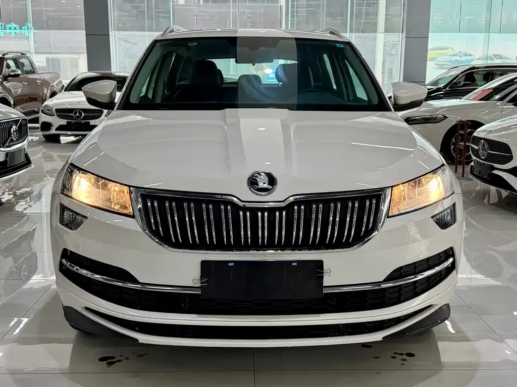 Skoda Karoq 2022 из CN, фото 2