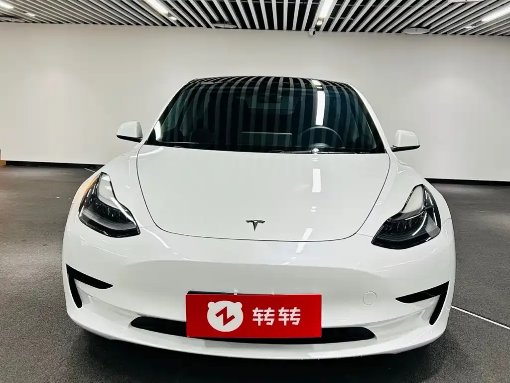 Tesla Model 3 2021 из CN, фото 5