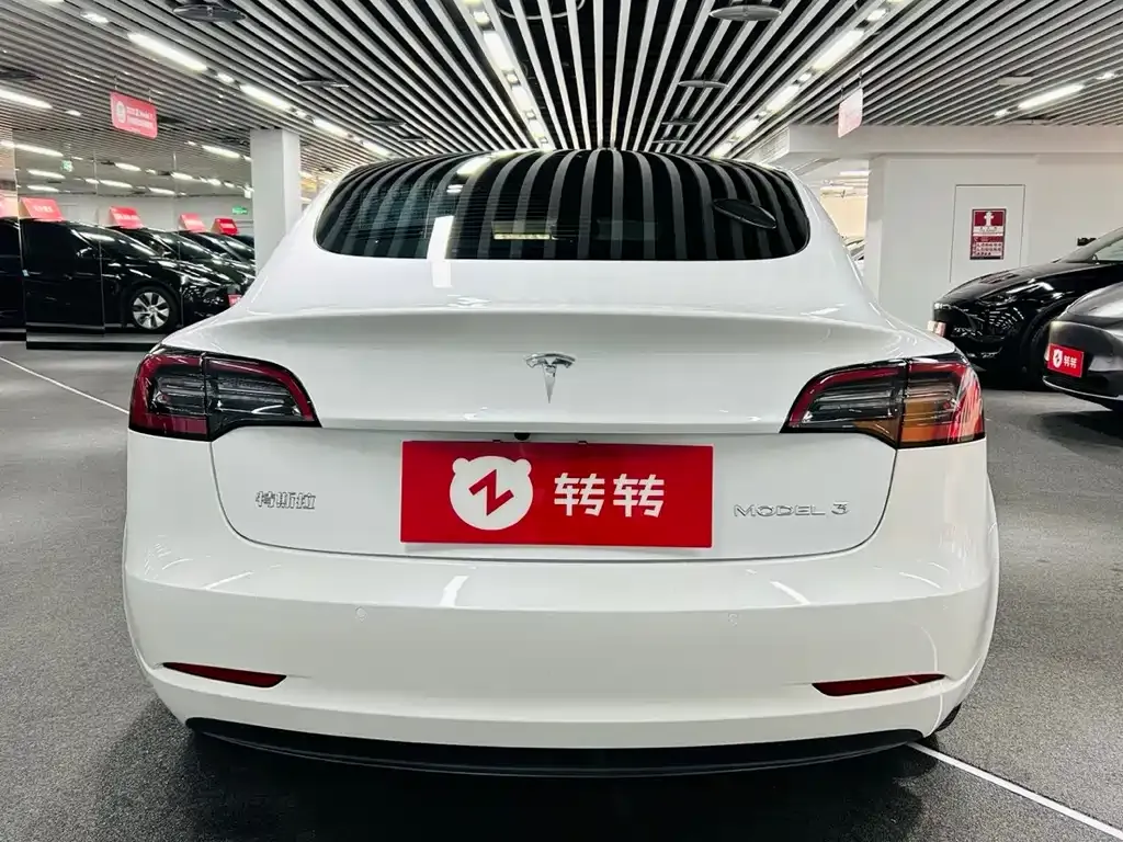 Tesla Model 3 2021 из CN, фото 7