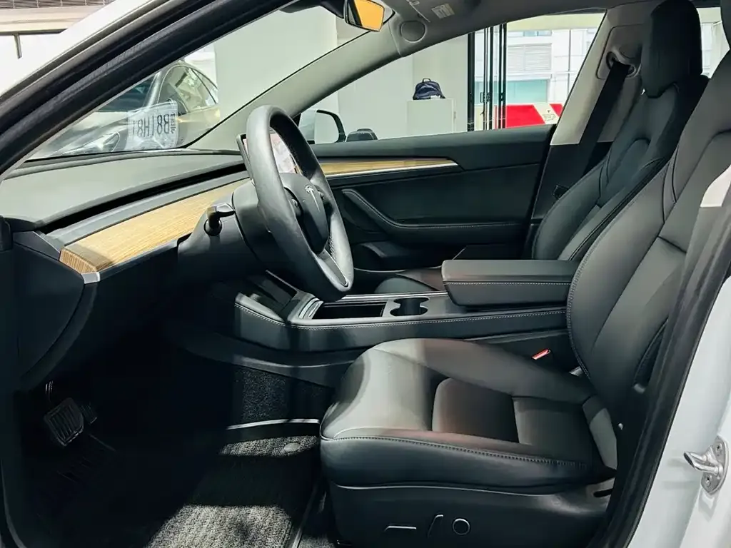 Tesla Model 3 2021 из CN, фото 3