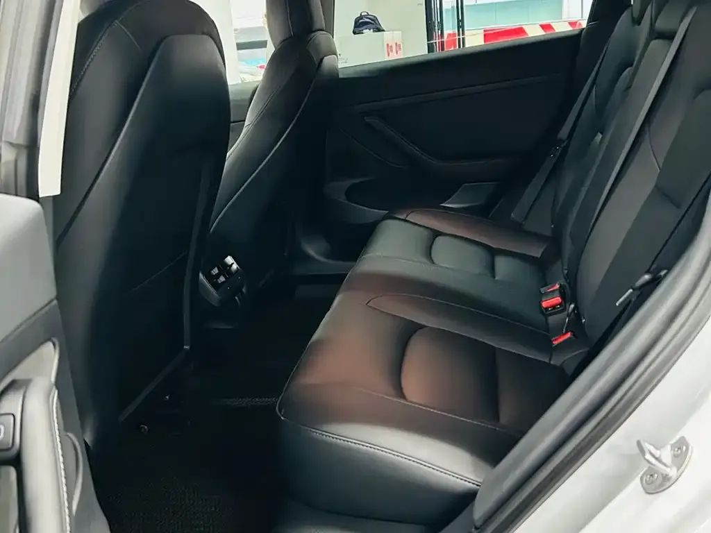 Tesla Model 3 2021 из CN, фото 2