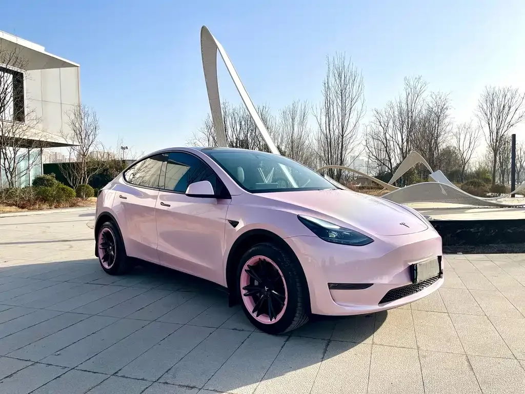 Tesla Model Y 2024 из CN, фото 4