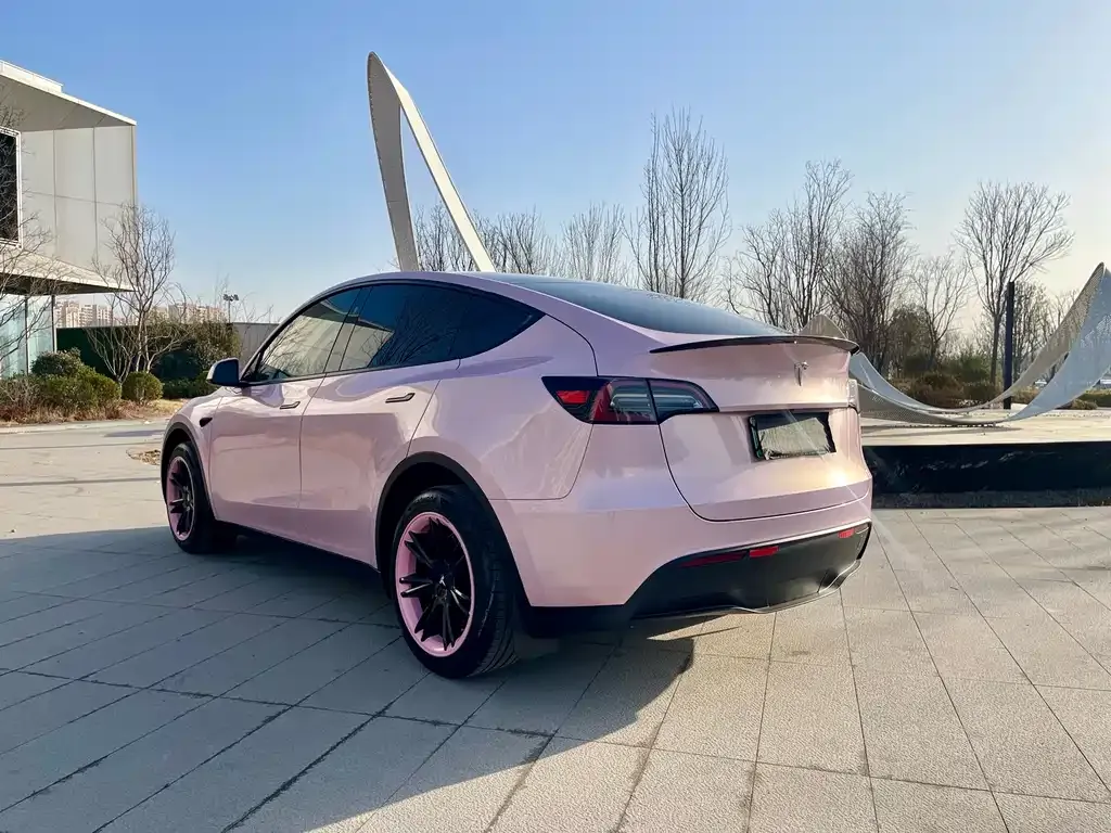 Tesla Model Y 2024 из CN, фото 2