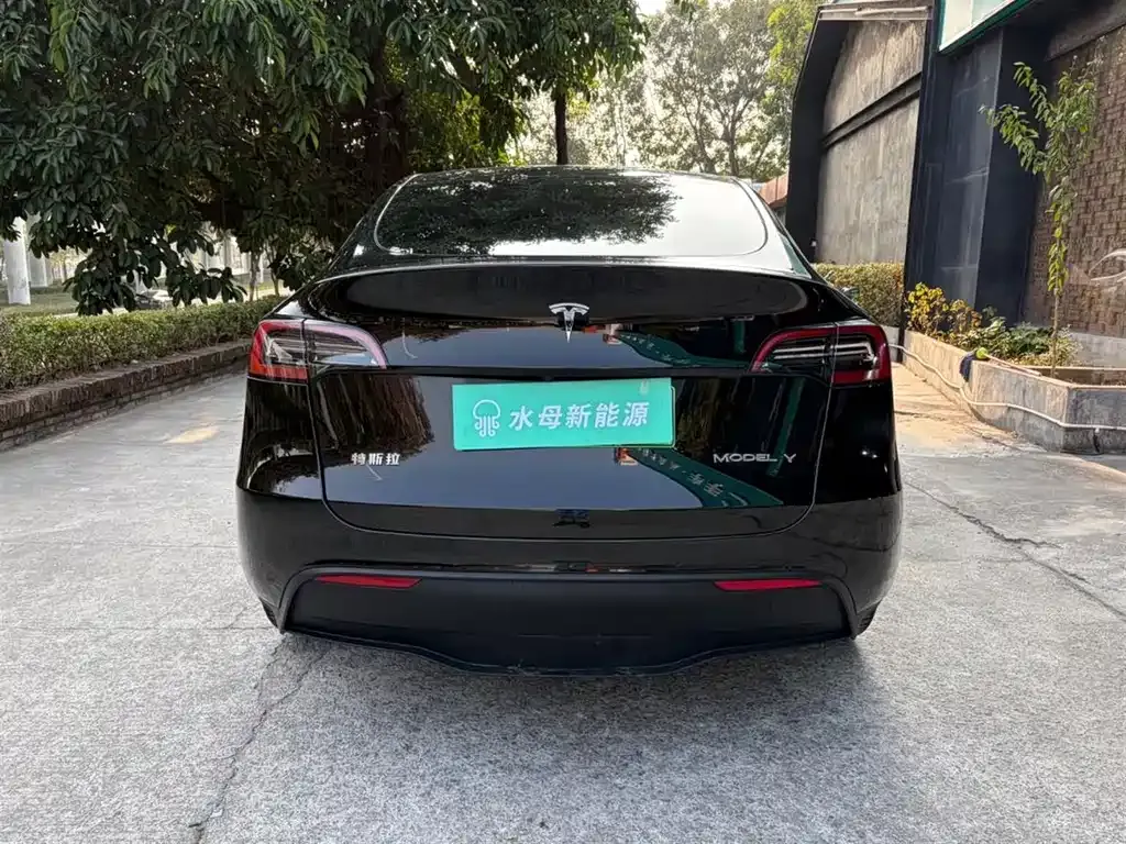 Tesla Model Y — фото 9