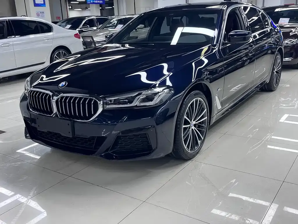BMW 5 Series 2021 из CN, фото 1