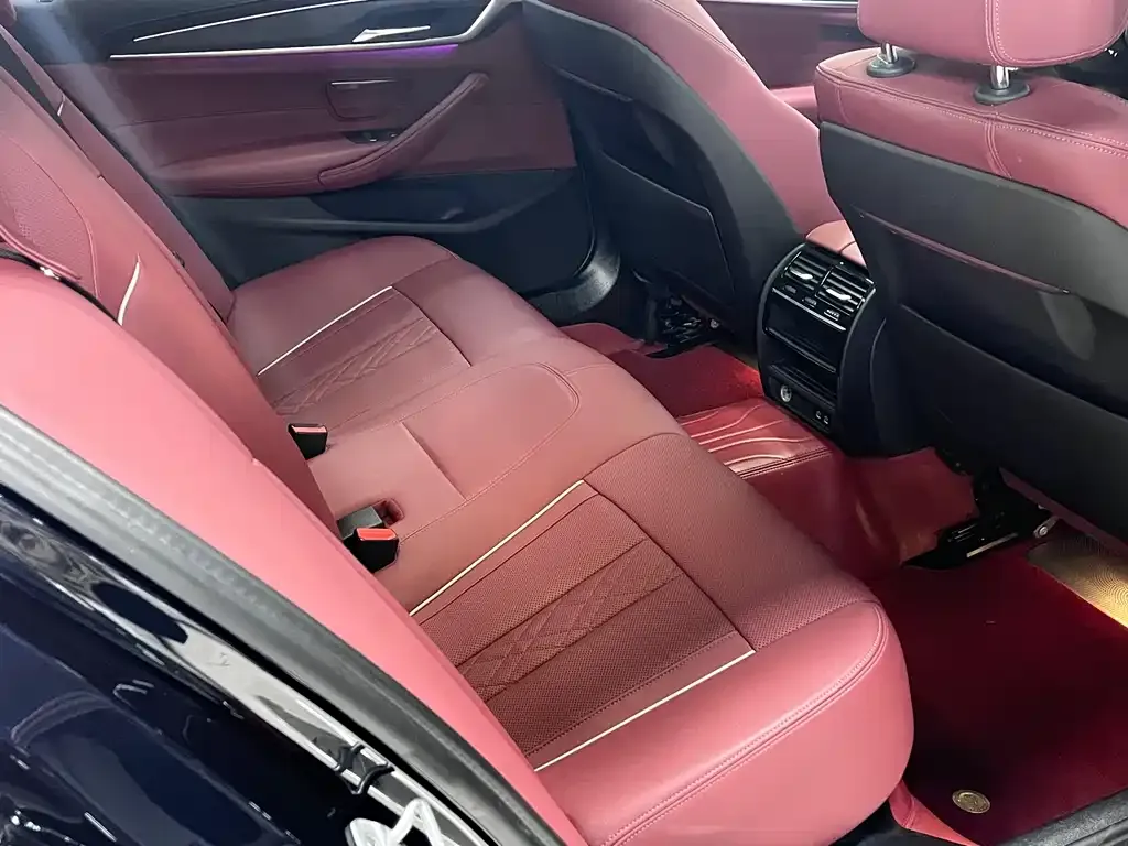 BMW 5 Series 2021 из CN, фото 3