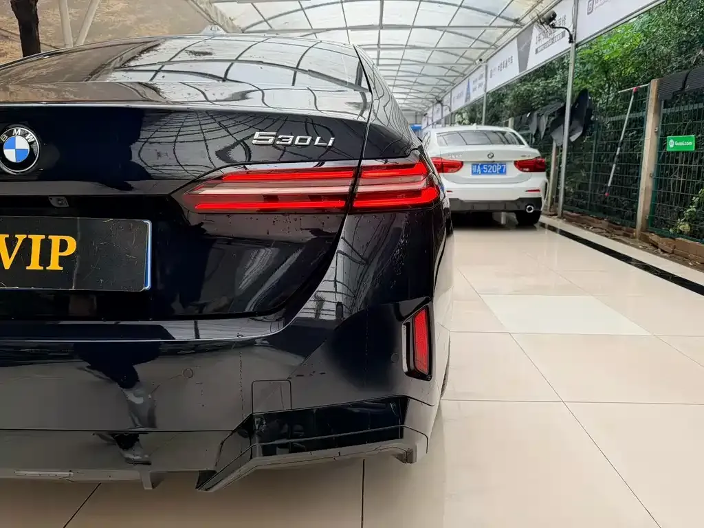 BMW 5 Series 2025 из CN, фото 4