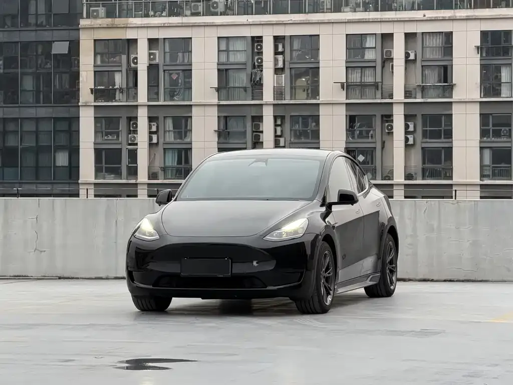 Tesla Model Y 2023 из CN, фото 1