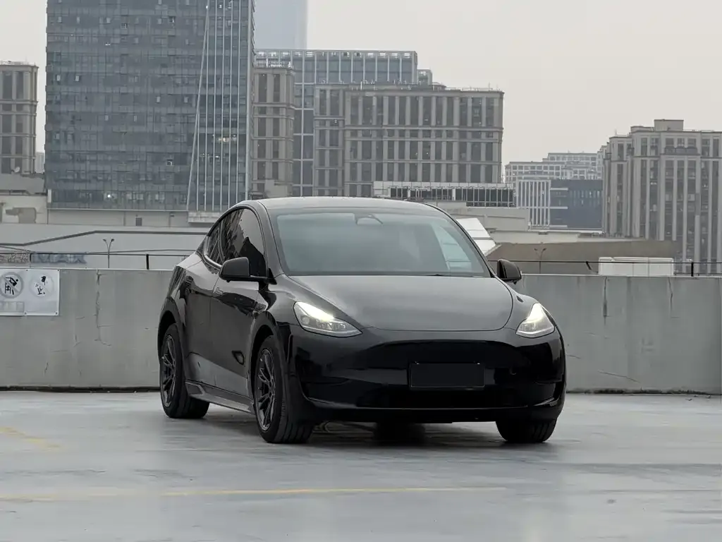 Tesla Model Y 2023 из CN, фото 2